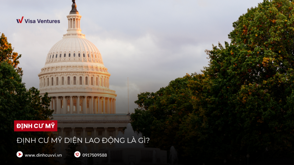 dinh cu My dien lao dong la gi