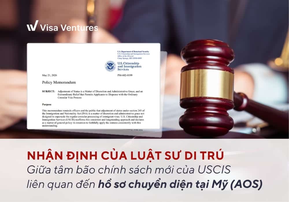 Luật Sư Chuyển Diện 2026 Aos